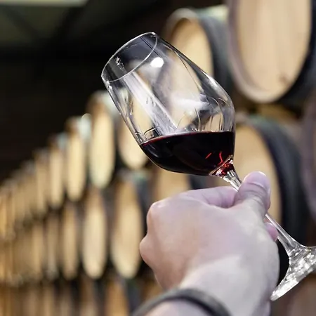 Trindade Modern Flat Apartment Porto