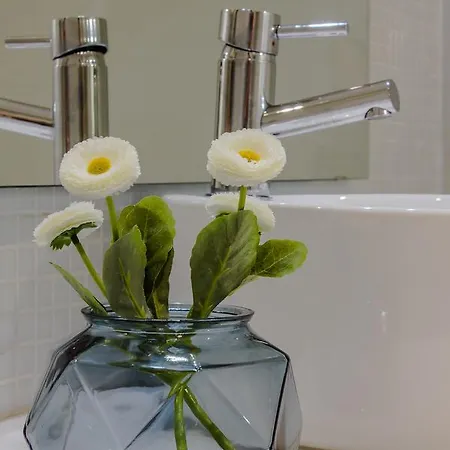 Trindade Modern Flat